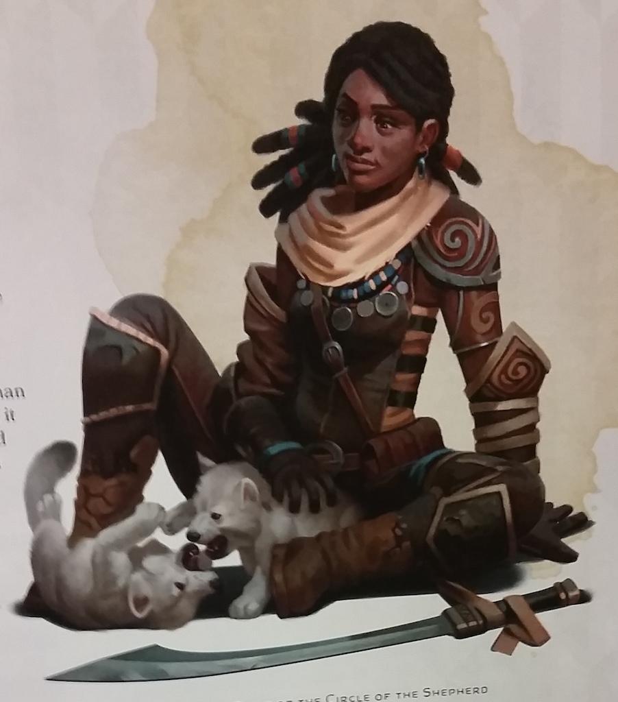 circle-of-the-shepherd-druid.jpg