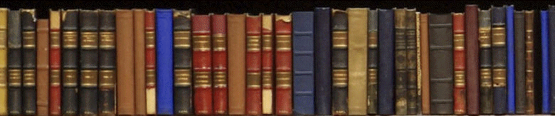 large.Big-Bookshelves.jpg.a5509d0c2505cfb6d34cdb4b8d9384f7.jpg
